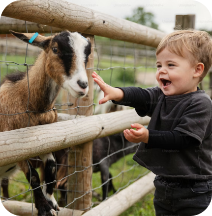 Gîte autour du parc Animalier de Lussas